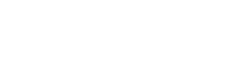 Ferrara Academy